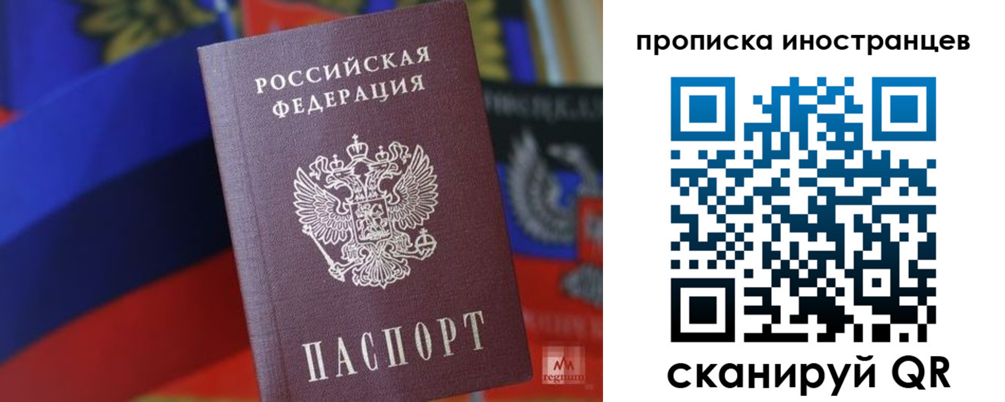 прописка законно в Дрезне